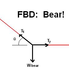 Free-body diagram of bear on rope